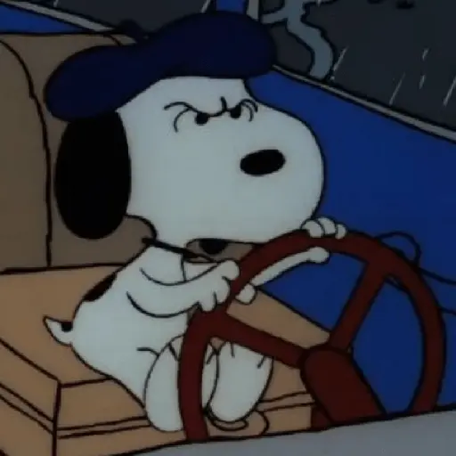 Snoopy mood variadito ✨