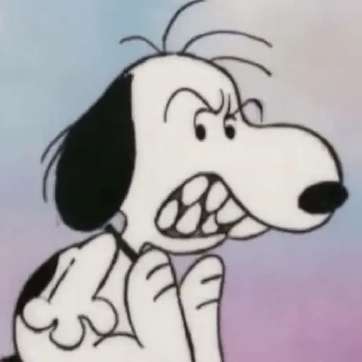 Snoopy mood variadito ✨