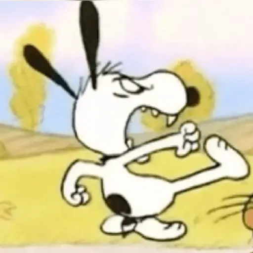 Snoopy mood variadito ✨