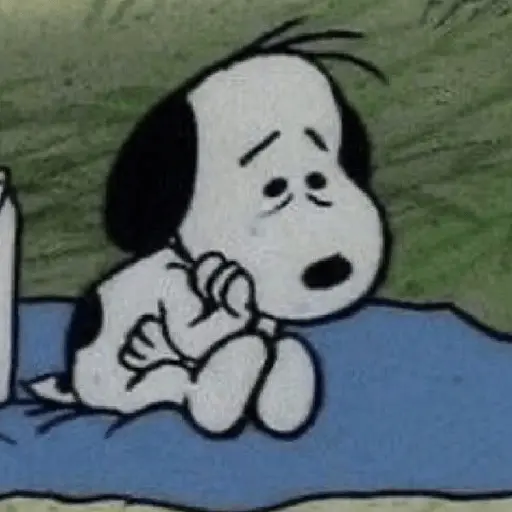 Snoopy mood variadito ✨