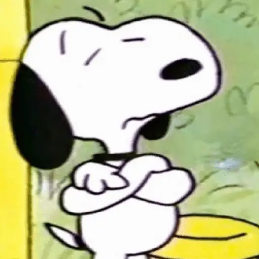 Snoopy mood variadito ✨