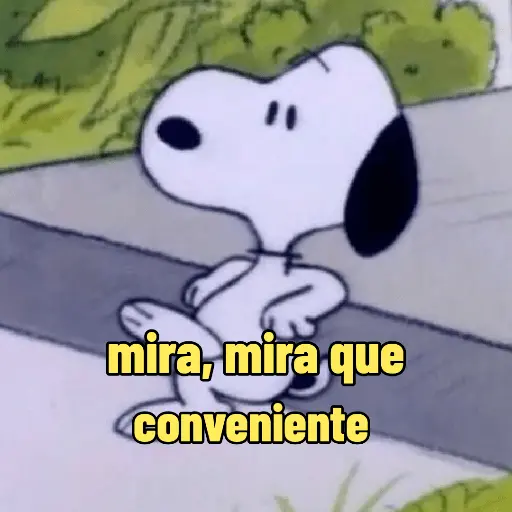 Snoopy mood variadito ✨