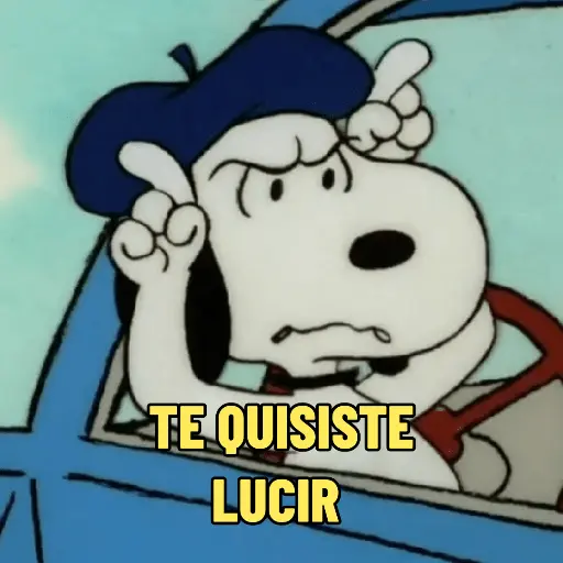 Snoopy mood variadito ✨