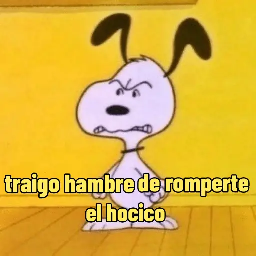 Snoopy mood variadito ✨