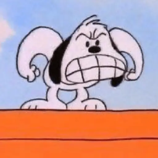 Snoopy mood variadito ✨