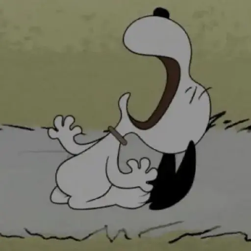 Snoopy mood variadito ✨