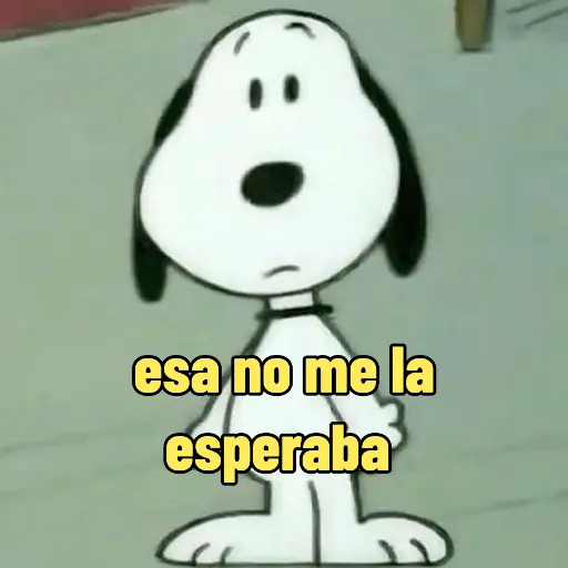 Snoopy mood variadito ✨