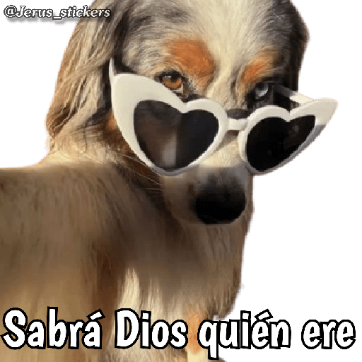 Animales con frases 💬 preview