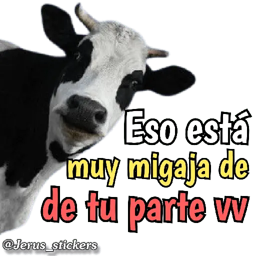 Animales con frases 💬
