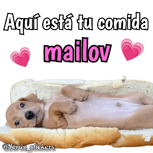 Animales con frases 💬