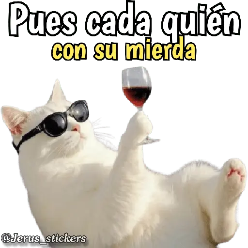 Animales con frases 💬