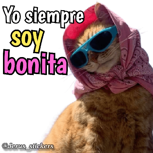 Animales con frases 💬 preview