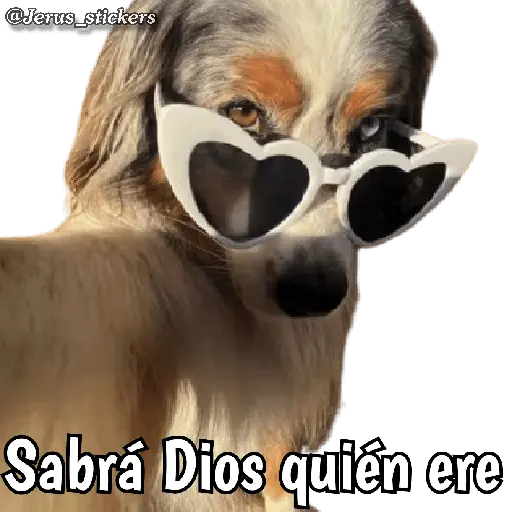 Animales con frases 💬