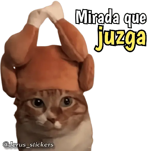Animales con frases 💬