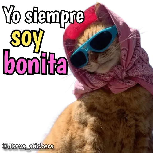 Animales con frases 💬