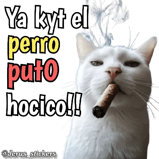 Animales con frases 💬