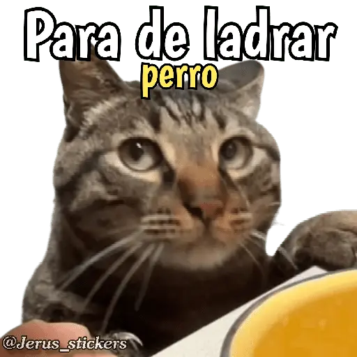 Animales con frases 💬