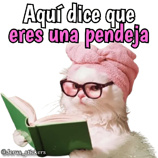 Animales con frases 💬