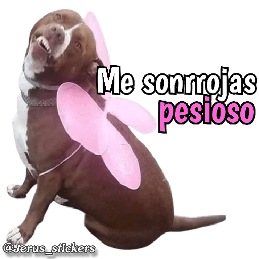 Animales con frases 💬 preview
