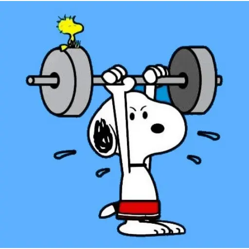 GYM Personajes 