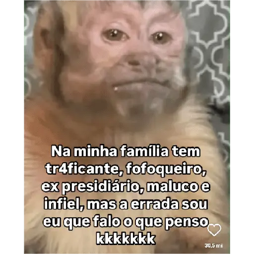 Minhas figurinhas