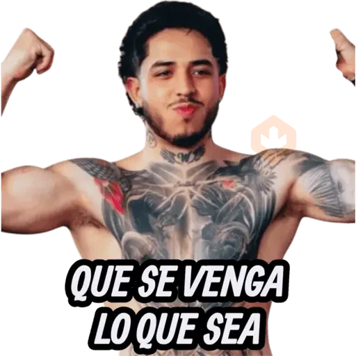 STICKERS DE WESTCOL🇨🇴 sticker 14