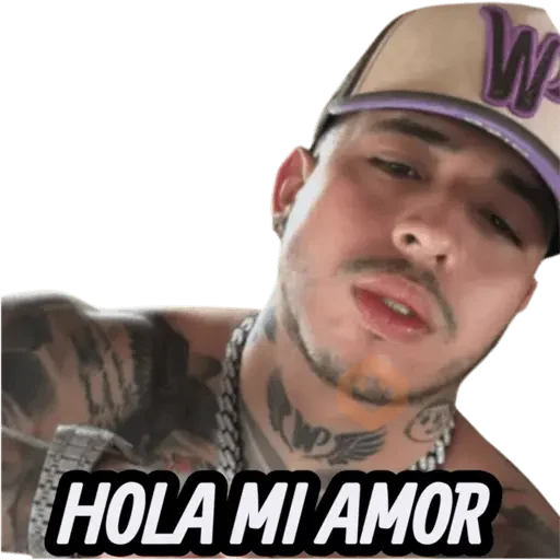 STICKERS DE WESTCOL🇨🇴 sticker 15