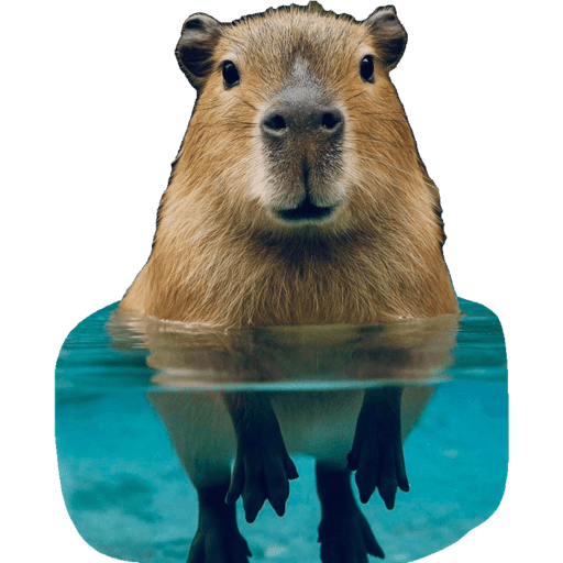 Capibara preview