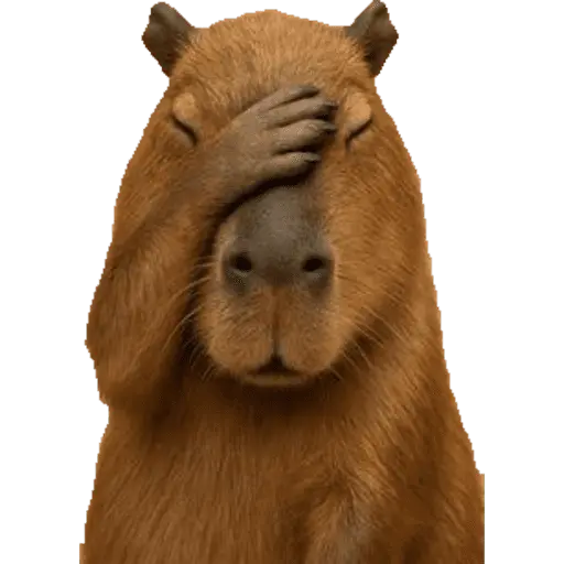 Capibara