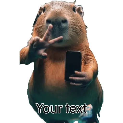 Capibara