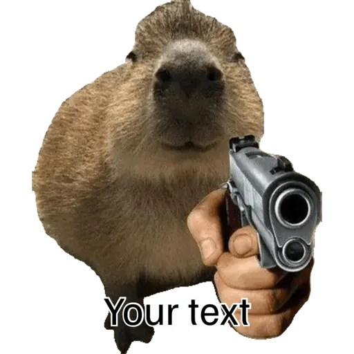 Capibara