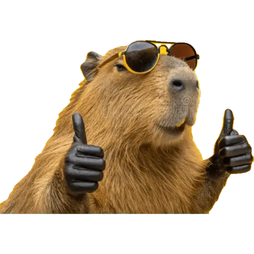 Capibara