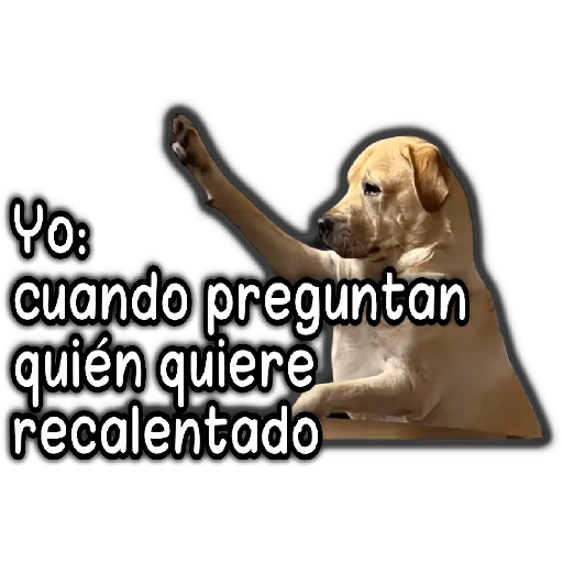 🐵Los de Septiembre/Memes🤣