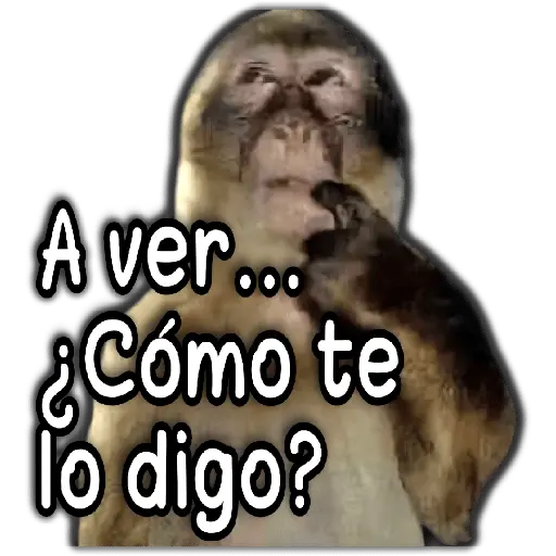 🐵Los de Septiembre/Memes🤣