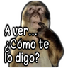 🐵Los de Septiembre/Memes🤣