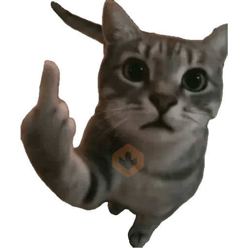 Memes sticker 11