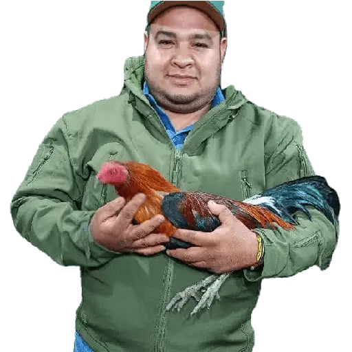 Creador de sticker del WhatsAp