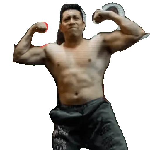 Creador de sticker del WhatsAp