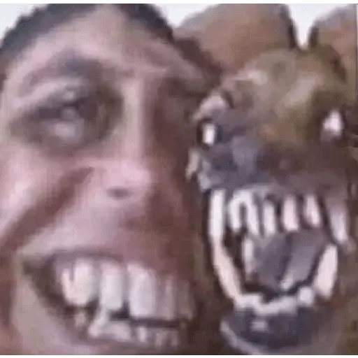Animales Graciosos 😂