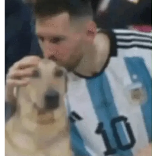 Animales Graciosos 😂