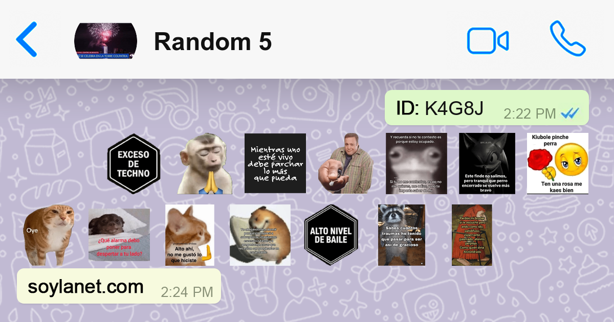 Sticker Wa Random Random 5 | Stickers para WhatsApp