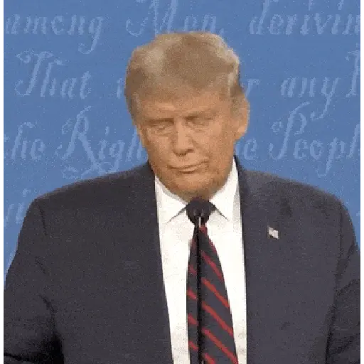 Donald Trump preview