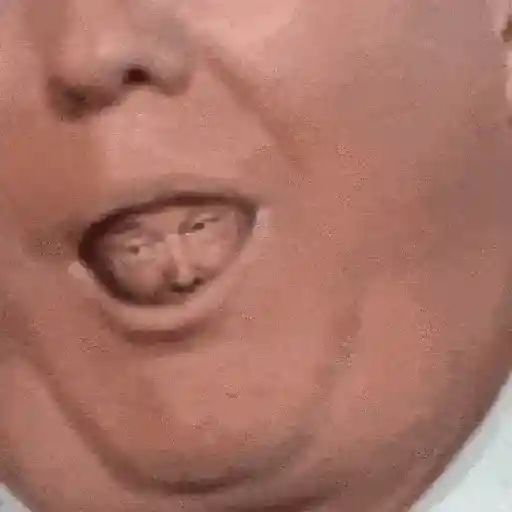 Donald Trump preview
