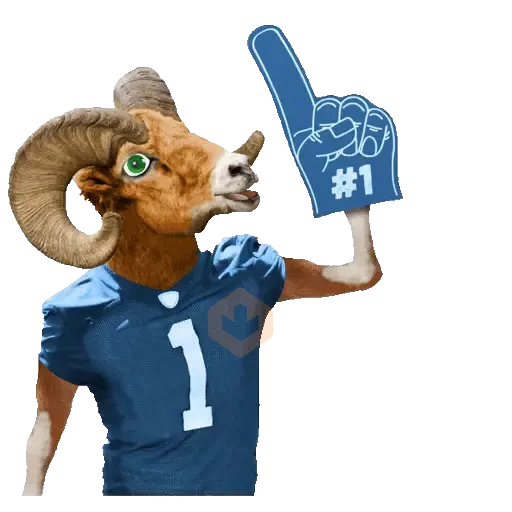 Animales en acción 2⃣🐾 sticker 15