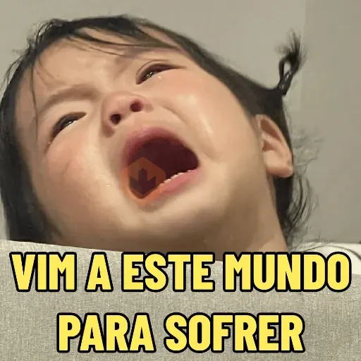 MEMES DA COREANINHA 👧🏻 sticker 14