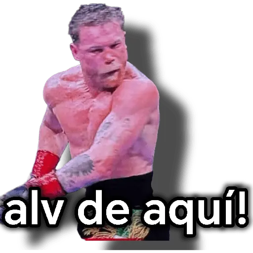 canelo alvarez