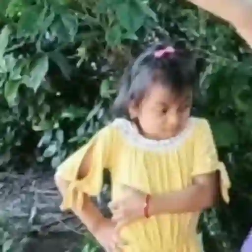 🌹 Rosita Niña TikTok Viral 📱