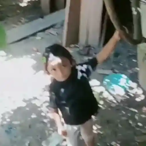🌹 Rosita Niña TikTok Viral 📱