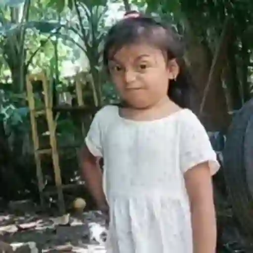 🌹 Rosita Niña TikTok Viral 📱