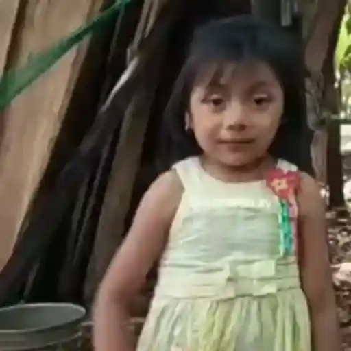 🌹 Rosita Niña TikTok Viral 📱